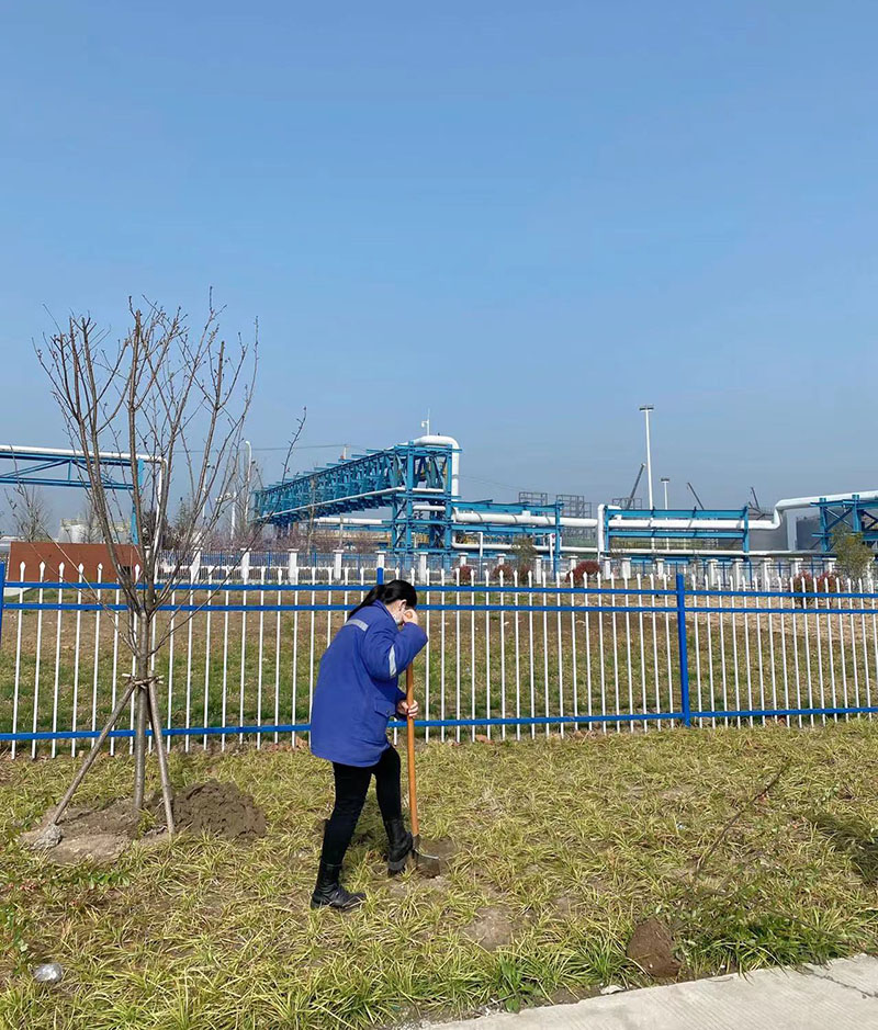 2022年3月植树活动