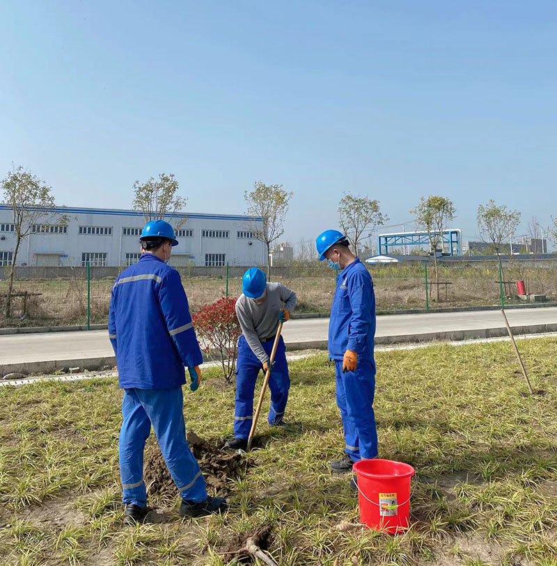 2022年3月植树活动