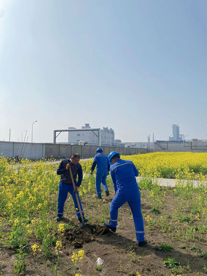 2022年3月植树活动