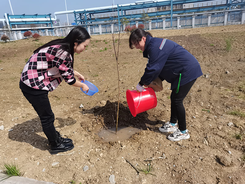 2022年3月植树活动