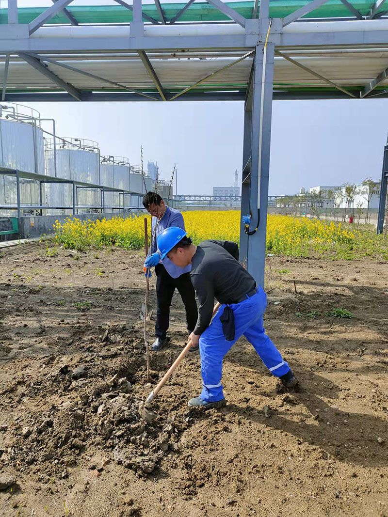2022年3月植树活动