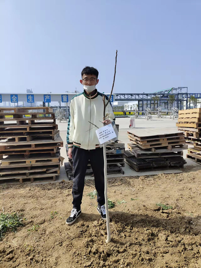 2022年3月植树活动