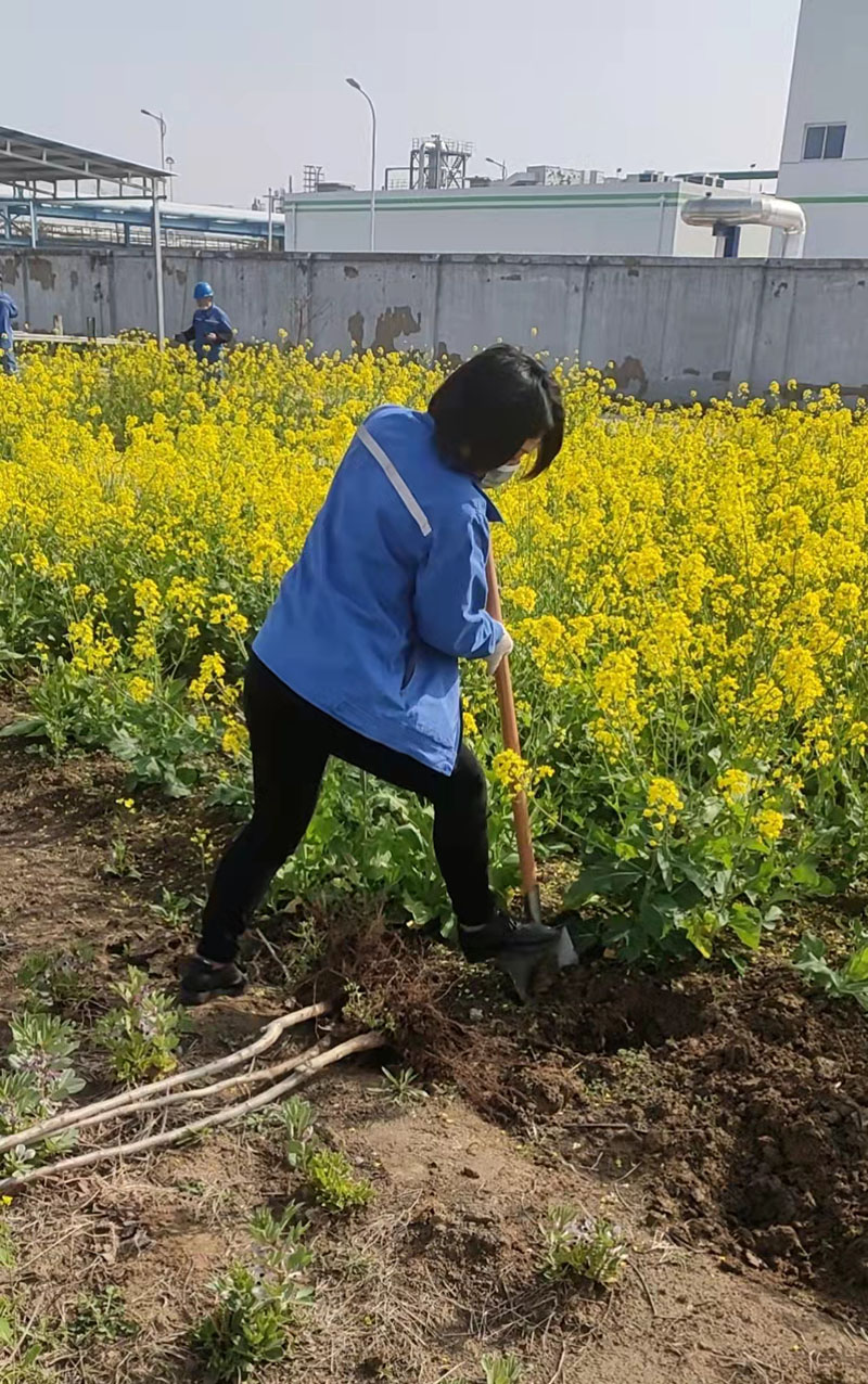 2022年3月植树活动