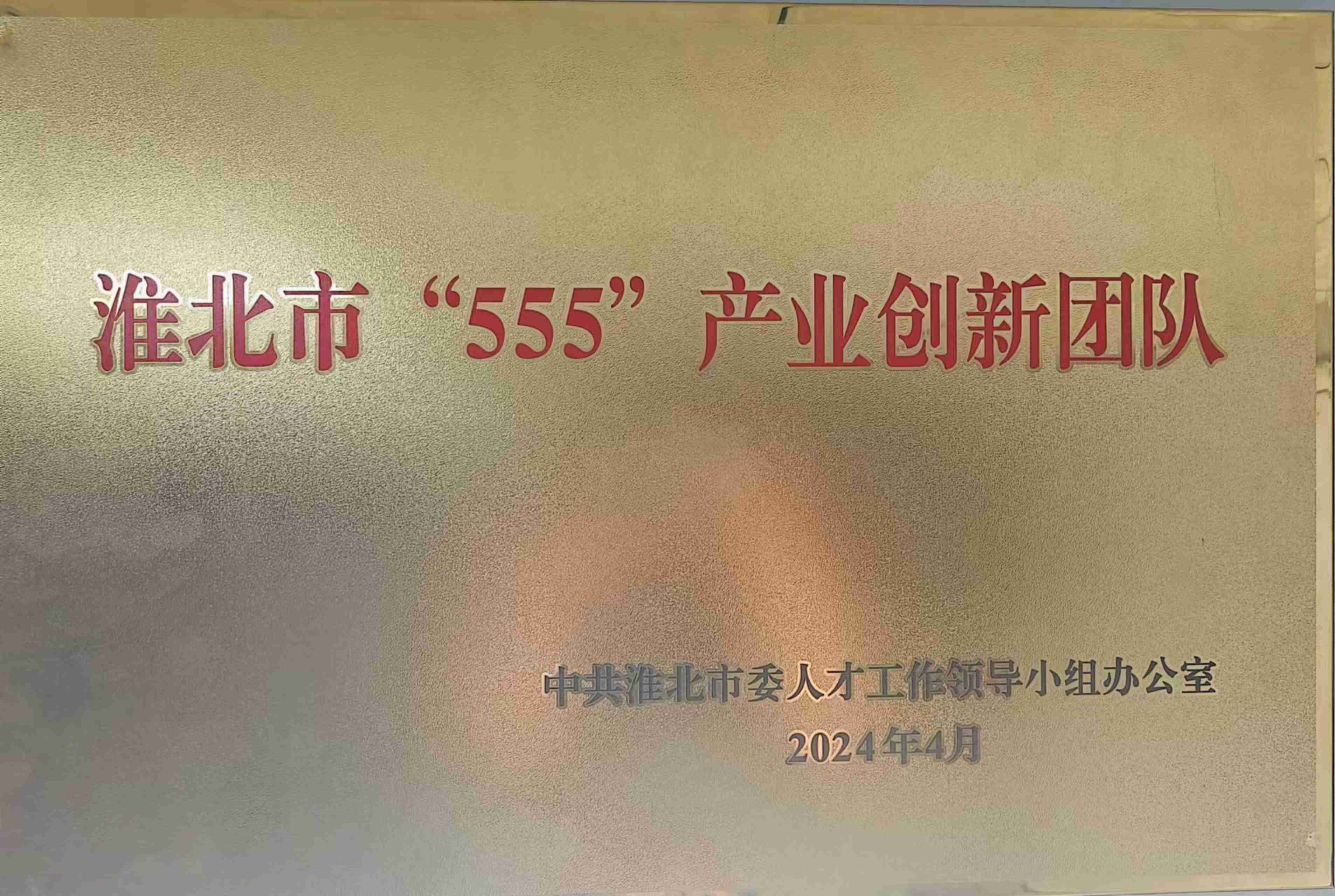 2024年度淮北市“555”产业创新团队